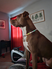 Load image into Gallery viewer, Pastel Rainbow Hearts Bead Collar