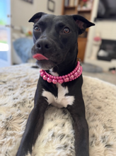 Load image into Gallery viewer, Magenta Rain Triplo Acrylic Bead Collar