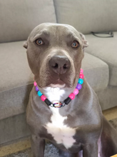 Load image into Gallery viewer, Hypnotic Dog Signature Acrylic Bead Collar