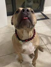 Load image into Gallery viewer, Ruby Smoke Acrylic Bead Collar