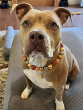 Load image into Gallery viewer, Autumn Leaves š Bead Collar