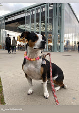 Load image into Gallery viewer, Sweet Tart Acrylic Bead Collar