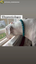 Load image into Gallery viewer, Teal Swirl Acrylic Bead Collar