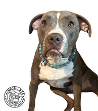 Load image into Gallery viewer, Slate Blue Gray Agate Semi-precious Gem Bead Collar