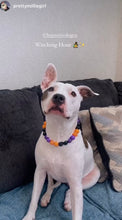 Load image into Gallery viewer, Witching Hour Halloween Bead Collar