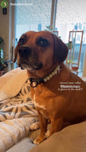 Load image into Gallery viewer, Green Glow in the Dark XS Bead Collar