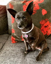 Load image into Gallery viewer, Xsinfinitywhite beaded dog collar