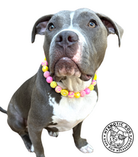 Load image into Gallery viewer, Akira's Pink Lemonade š©·š Bead Collar