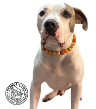 Load image into Gallery viewer, Autumn Leaves š Bead Collar