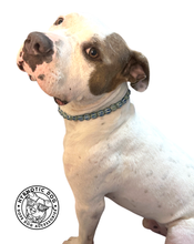 Load image into Gallery viewer, Blue Melon Ceramic Bead Collar