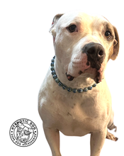 Load image into Gallery viewer, Blue Melon Ceramic Bead Collar