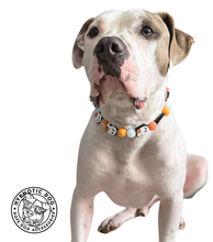 Load image into Gallery viewer, Orange Boo š» Halloween Glow Bead Collar