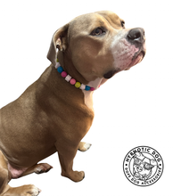Load image into Gallery viewer, Candy Pop š Bead Collar