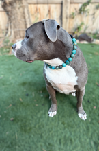 Load image into Gallery viewer, Deep Sea Swirl Acrylic Bead Collar