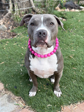 Load image into Gallery viewer, Electric Pink Acrylic Bead Collar
