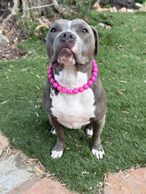 Load image into Gallery viewer, Electric Pink Acrylic Bead Collar