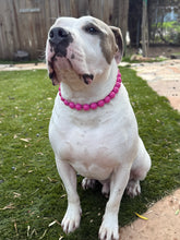 Load image into Gallery viewer, Electric Pink Acrylic Bead Collar