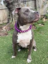 Load image into Gallery viewer, Electric Purple Acrylic Bead Collar