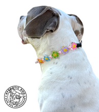 Load image into Gallery viewer, š¼ Flower Power š¼ Bead Collar