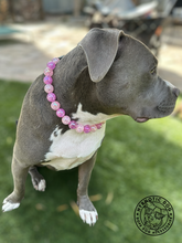 Load image into Gallery viewer, š§ 19" Slip On (Black O-Ring) Frozen Berry Crackle Bead Collar - PRE-MADE/FINAL SALE