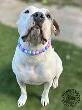 Load image into Gallery viewer, Glossy Bubblegum Tie Dye Acrylic Bead Collar