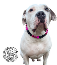 Load image into Gallery viewer, Hot Pink Nova š¤š©· Bead Collar
