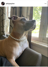 Load image into Gallery viewer, š§ 19" Slip On (Black O-Ring) Mini White Pearl Bead Collar - PRE-MADE/FINAL SALE