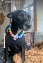 Load image into Gallery viewer, š§ 17" Slip On (Black O-Ring) Pastel Rainbow Acrylic Bead Collar - PRE-MADE/FINAL SALE