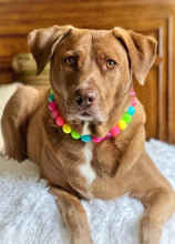 Load image into Gallery viewer, Neon Rainbow š Bead Collar