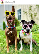 Load image into Gallery viewer, Neon Rainbow š Bead Collar