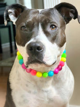 Load image into Gallery viewer, Neon Rainbow š Bead Collar