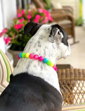 Load image into Gallery viewer, Neon Rainbow š Bead Collar