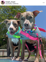 Load image into Gallery viewer, Neon Turquoise Acrylic Bead Collar