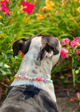 Load image into Gallery viewer, š Pastel Bow š Bead Collar