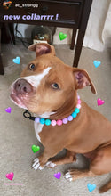 Load image into Gallery viewer, Bubblegum Acrylic Bead Collar