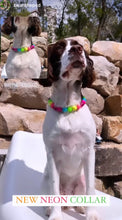 Load image into Gallery viewer, Neon Rainbow š Bead Collar