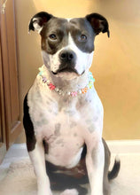 Load image into Gallery viewer, š Pastel Bow š Bead Collar