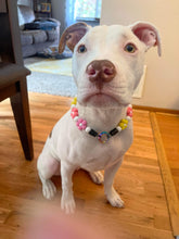 Load image into Gallery viewer, š¼ Multicolor Daisies š¼ Silicone Bead Collar