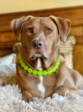 Load image into Gallery viewer, Slime Green Acrylic Acrylic Bead Collar