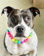 Load image into Gallery viewer, Neon Rainbow š Bead Collar