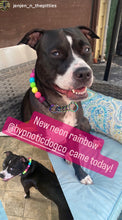 Load image into Gallery viewer, Neon Rainbow š Bead Collar
