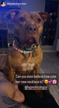 Load image into Gallery viewer, š¼ Multicolor Daisies š¼ Silicone Bead Collar