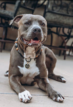 Load image into Gallery viewer, Conqueror Bead Collar
