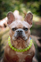 Load image into Gallery viewer, Slime Green Acrylic Acrylic Bead Collar