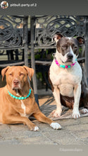 Load image into Gallery viewer, Neon Turquoise Acrylic Bead Collar