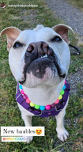 Load image into Gallery viewer, Neon Rainbow š Bead Collar