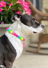 Load image into Gallery viewer, Neon Rainbow š Bead Collar