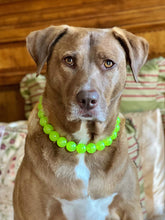 Load image into Gallery viewer, Slime Green Acrylic Acrylic Bead Collar