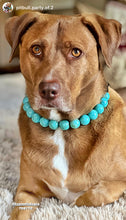 Load image into Gallery viewer, Oasis Swirl Acrylic Bead Collar
