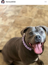 Load image into Gallery viewer, Purple Rain Triplo Acrylic Bead Collar